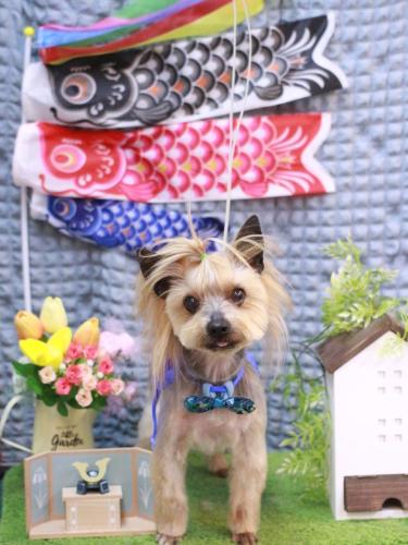 20230505ジャックくん